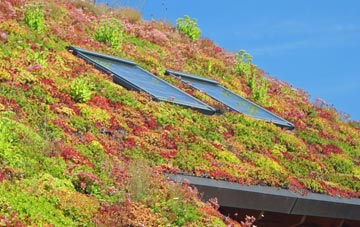 Knockin Heath living roof systems